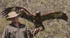 Raptor Domain