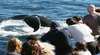 Gold Coast Whale Adventures