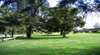 Dungog Caravan Park