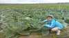TCP Farmgate Tours