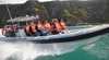 The Big Duck Boat Tours