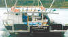 Montague Island Game and Sport Fishing Charters