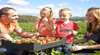 Gowinta Farms