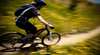 Enduro Trail Mount Annan Botanic Garden