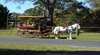 Heritage Carriages