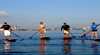 Oz Sup Centre