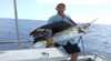 Hervey Bay Fishing Charters
