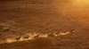 Central Eagle Aviation