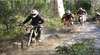 Dirt Trax Tas