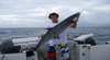 Odyssey Charters