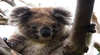 Wilderness Tours Australia