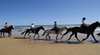 Gunnamatta Horse Trail Rides