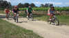 Grapemobile Bicycle Hire Hunter Valley Vineyards