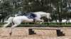 Riverside Ranch Horse Trail Rides and Lessons
