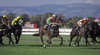 Morphettville Racecourse