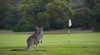 Anglesea Golf Club