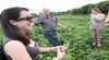 Foodscape Tours - South Coast