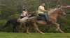 Spring Creek Horse Riding