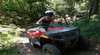 Bushwacker Quadbike Tours