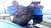 Paradise Fishing Charters