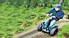 Hollybank Forest Adventure Segway Tours