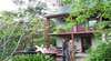 Great Ocean Road Cottages and Lorne Backpackers 