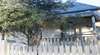 Blue Wren Cottage - Yass