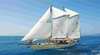 Tall Ship Adventures Whitsunday