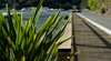 Berowra Waters Penthouse