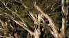 Murrumbidgee Valley National and Regional Park