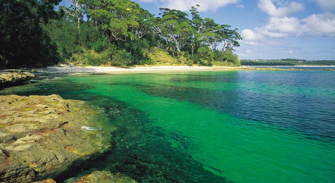 Jervis Bay - &nbsp;-&nbsp;landscape beach coastal forest