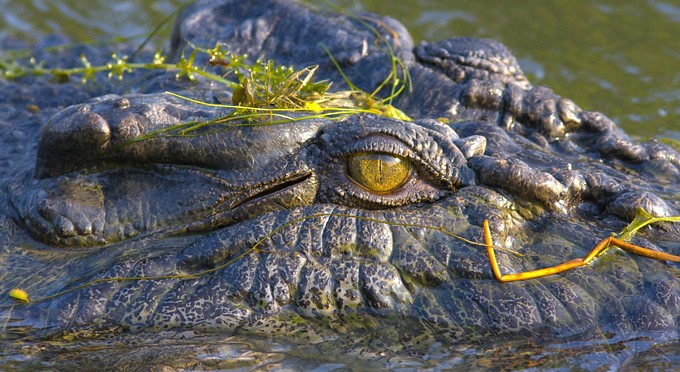 Kakadu National Park -