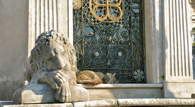 Image courtesy of PhotoJoy