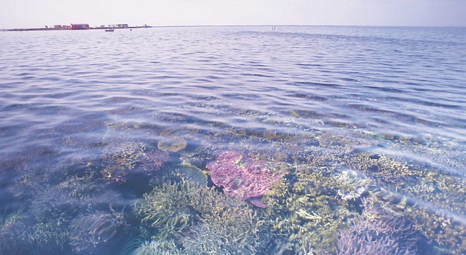 Image courtesy of Western Australia