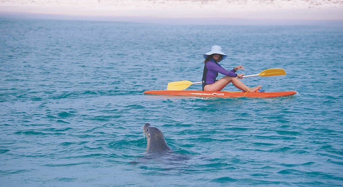 Image courtesy of Western Australia