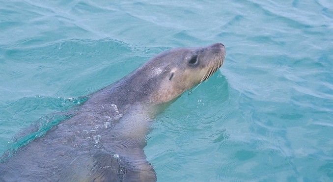 Image courtesy of Western Australia