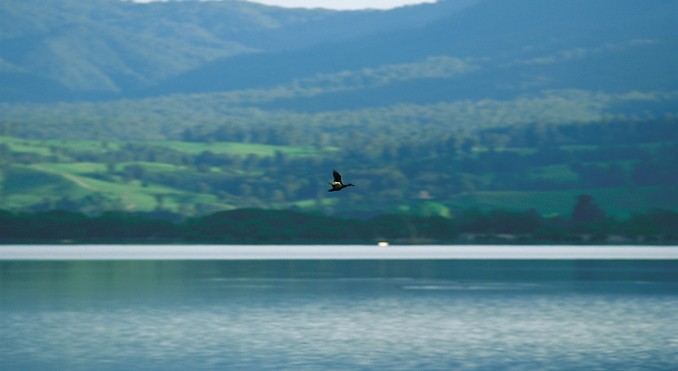 Image courtesy of Tourism New South Wales
