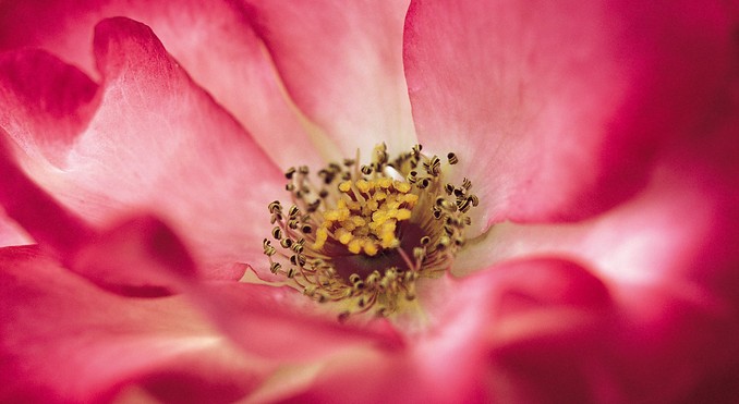 Image courtesy of South Australia