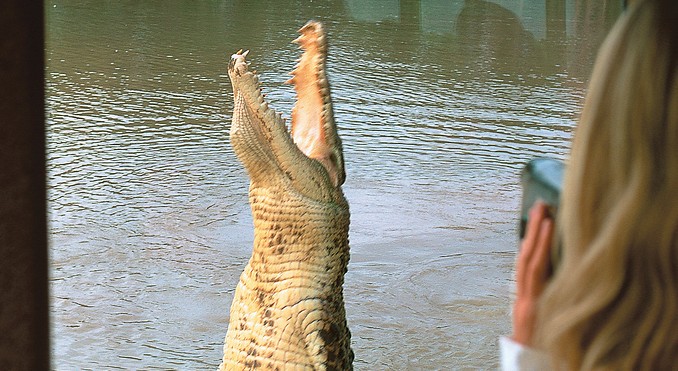 Image courtesy of Tourism NT