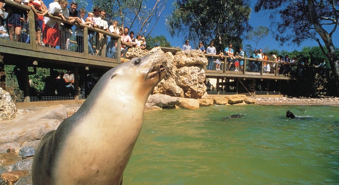 Image courtesy of South Australia