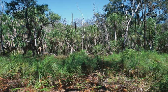 Image courtesy of Tourism Queensland