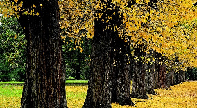 Image courtesy of Tourism New South Wales