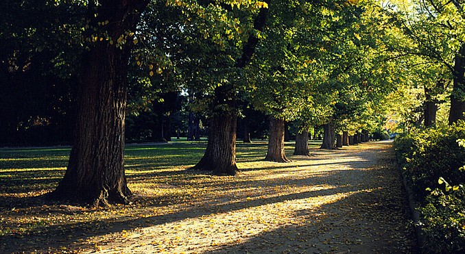 Image courtesy of Tourism New South Wales