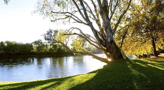 Image courtesy of Tourism New South Wales