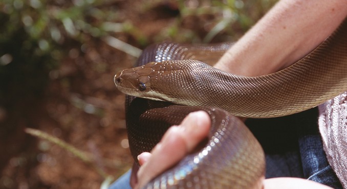 Image courtesy of Tourism NT