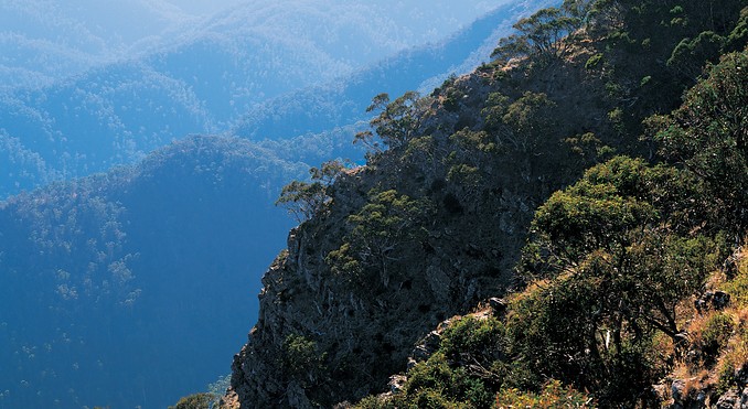 Image courtesy of Tourism Victoria