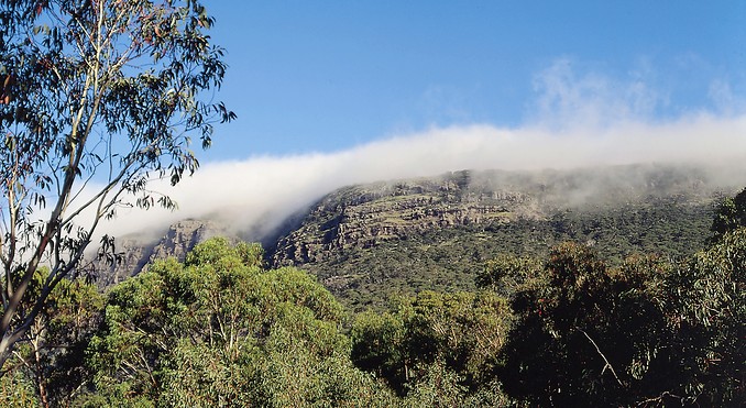 Image courtesy of Tourism Victoria