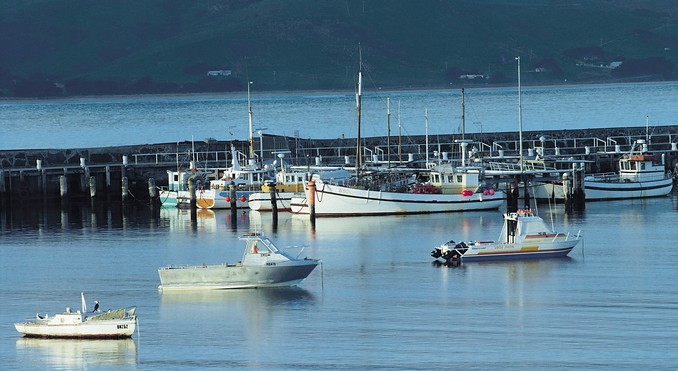 Image courtesy of Tourism Victoria