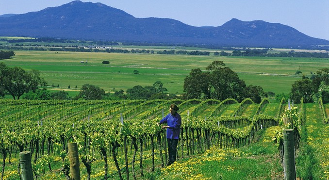 Image courtesy of Tourism Victoria