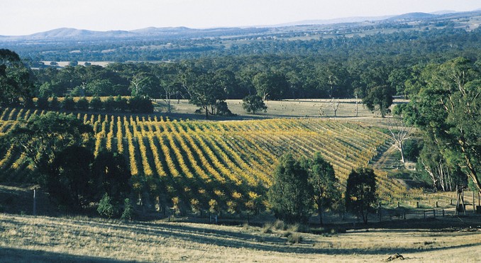 Image courtesy of Tourism Victoria
